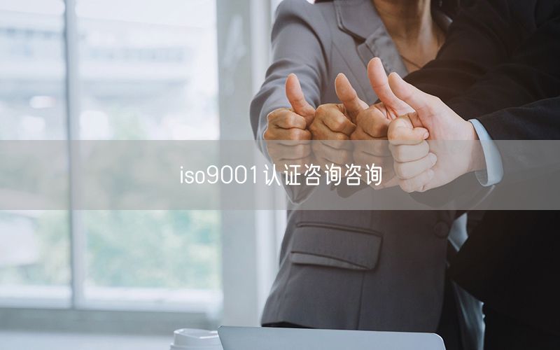 iso9001認證咨詢咨詢(41)