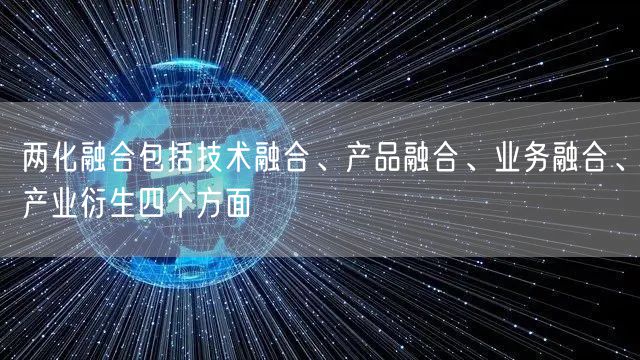 兩化融合包括技術融合、產品融合、業(yè)務融合、產業(yè)衍生四個方面(10)