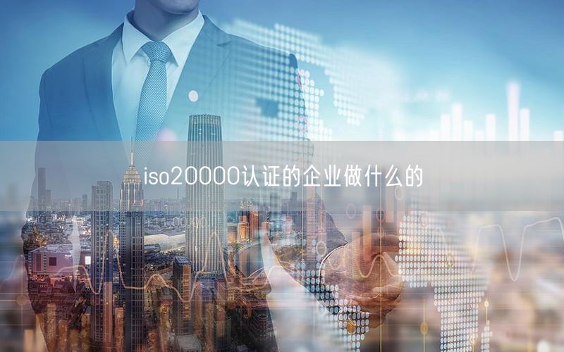 iso20000認證的企業(yè)做什么的(30)