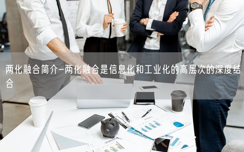 兩化融合簡介-兩化融合是信息化和工業(yè)化的高層次的深度結(jié)合(3)