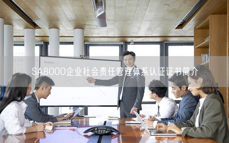 SA8000企業(yè)社會(huì)責(zé)任管理體系認(rèn)證證書(shū)簡(jiǎn)介(3)